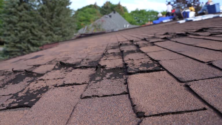 Best Commercial Roofing Services  in Bangor, PA